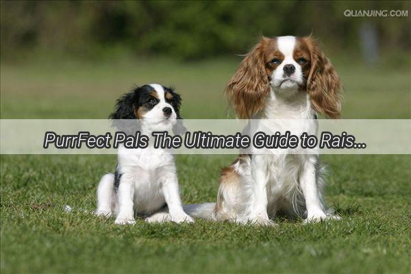 PurrFect Pals The Ultimate Guide to Raising Happy Healthy Cats and Dogs